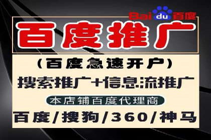 高效托管竞价SEM策略解析